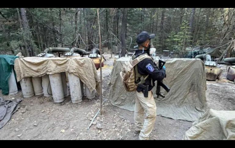 Chávez explicó que la participación de estas personas fue limitada y reservada, sin interacción operativa directa con los agentes, salvo con el director Pedro Román Oseguera Cervantes y su círculo cercano de seguridad. EFE / ARCHIVO