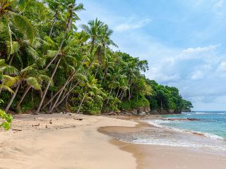 Las reuniones incluyen a la Procuraduría Federal de Protección al Ambiente (Profepa), autoridades estatales, representantes de la empresa desarrolladora y pobladores de Punta Mita. UNSPLASH