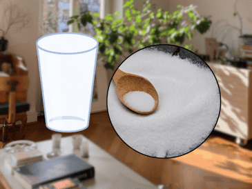 Desde la perspectiva del Feng Shui, el acceso principal de una vivienda es considerado la "boca del chi", es decir, el punto exacto por donde ingresa la energía vital al hogar. ESPECIAL/Canva