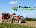 El monto del apoyo se determina de manera anual y puede variar dependiendo del tipo de cultivo y la superficie de hectáreas registrada por cada persona beneficiaria. CANVA
