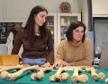 El estudio sobre la menstruación se publicó en la revista The Anatomical Record. EFE/ARCHIVO