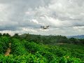 La siembra y fumigación con drones impulsa la producción y la sostenibilidad de los pastos en Brasil. EFE