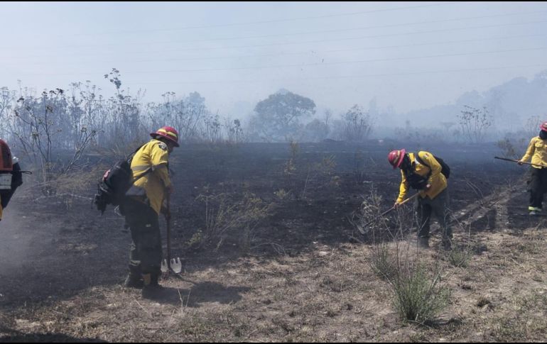 La coordinación entre dependencias y voluntarios ha sido clave en las acciones para contener el incendio forestal. CORTESÍA/UEPCBJ