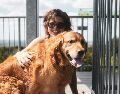 Conoce a los mejores razas de perro para convertirse en tu nuevo gran amigo y mejor compañía. UNSPLASH / B. ROGERS