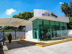 La aplicación del Banco del Bienestar permite consultar el saldo en tiempo real y evitar filas innecesarias en las sucursales. EL INFORMADOR/ARCHIVO