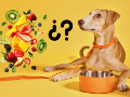 Así como hay frutas que pueden ser dañinas y toxicas, también hay algunas que mejoran significativamente la calidad de vida de los perros cuando se ofrecen correctamente. CANVA