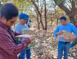 La Procuraduría Federal de Protección al Ambiente (Profepa) realizó un operativo en materia de vida silvestre y aseguró 99 aves que estaban siendo comercializadas de manera ilegal dentro del mercado 
