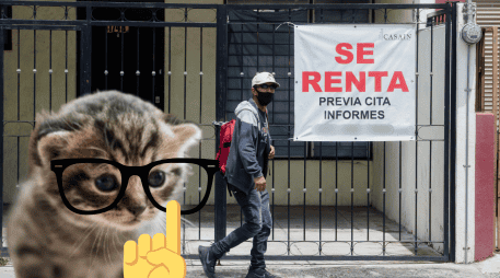 La iniciativa está dirigida a personas de entre 20 y 24 años que se encuentran en proceso de independizarse o que ya rentan una vivienda. ESPECIAL/ EL INFORMADOR/ ARCHIVO/ Unsplash
