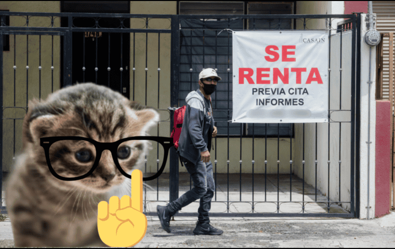 La iniciativa está dirigida a personas de entre 20 y 24 años que se encuentran en proceso de independizarse o que ya rentan una vivienda. ESPECIAL/ EL INFORMADOR/ ARCHIVO/ Unsplash