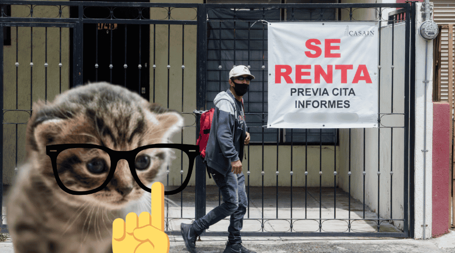 La iniciativa está dirigida a personas de entre 20 y 24 años que se encuentran en proceso de independizarse o que ya rentan una vivienda. ESPECIAL/ EL INFORMADOR/ ARCHIVO/ Unsplash