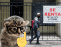 La iniciativa está dirigida a personas de entre 20 y 24 años que se encuentran en proceso de independizarse o que ya rentan una vivienda. ESPECIAL/ EL INFORMADOR/ ARCHIVO/ Unsplash
