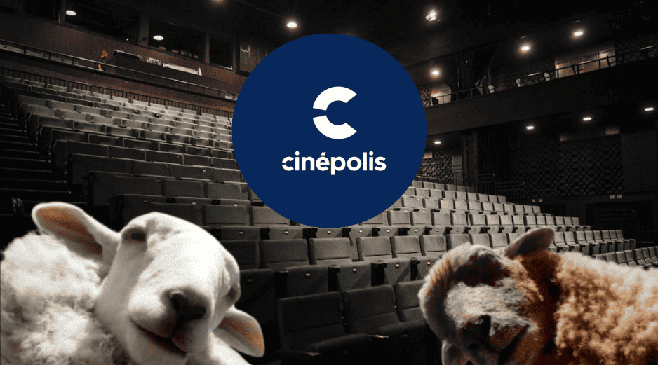 Acompañamos a descubrir lo mejor del cine esta semana en las salas de Cinépolis. ESPECIAL/ Unsplash
