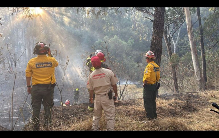 Los elementos de Protección Civil y Bomberos de Guadalajara y Zapopan trabajaron de manera conjunta en el combate al incendio, mientras policías municipales resguardaron la zona para facilitar el acceso de las unidades de emergencia.