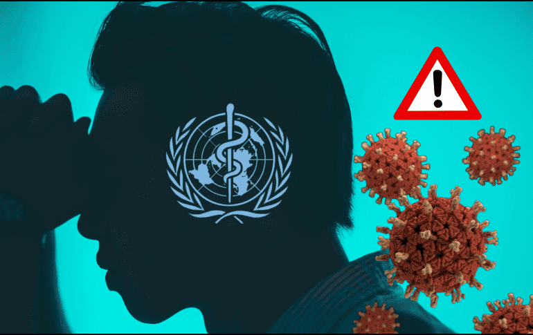 La Organización Mundial de la Salud (OMS) reportó un foco de infección de hantavirus en el crucero MV Hondius UNSPLASH /  R. TRIP / UNSPLASH / CDC