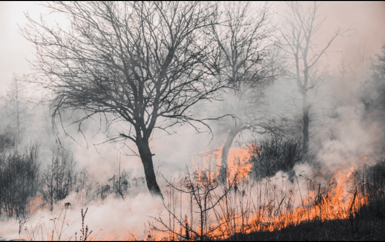 La titular de la Coesfo, Magdalena María Coello Castillo, exhortó a la ciudadanía a utilizar el fuego de manera responsable, particularmente durante esta temporada de calor extremo que afecta distintas regiones del país. CANVA