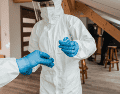 El hantavirus es una enfermedad zoonótica transmitida principalmente por roedores a través de heces, orina o saliva. CANVA