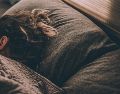 Los expertos recomiendan mantener horarios regulares para dormir, evitar el uso del celular antes de acostarse y reducir el consumo de cafeína por la noche para mejorar la calidad del descanso. Pixabay
