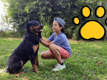 Dale una segunda oportunidad a un lomito abandonado o rescatado, ofreciéndole un hogar permanente, cuidados, salud y cariño. CANVA
