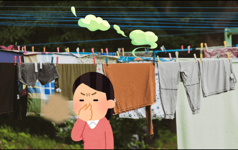 Secar la ropa en espacios cerrados puede aumentar los niveles de humedad interior hasta en un 30%, creando el ecosistema perfecto para la proliferación de ácaros del polvo y esporas de moho. CANVA