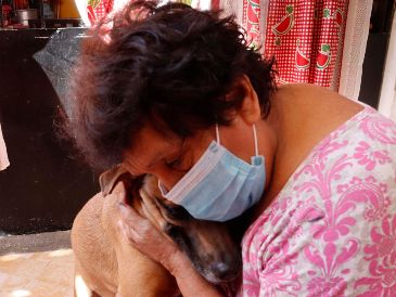 Estos son los beneficios a la salud de tener un perro ¿son medibles por la ciencia? SUN / ARCHIVO
