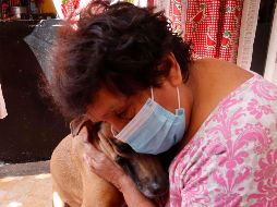Estos son los beneficios a la salud de tener un perro ¿son medibles por la ciencia? SUN / ARCHIVO