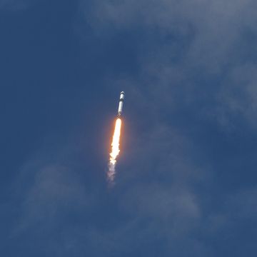 Destaca un experimento que ayudará a entender por qué los astronautas pierden glóbulos rojos. EFE/C. Herrera