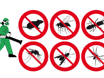 El uso de productos químicos además de ser ineficaz, empeora el problema al forzar la evolución de las especies. Mientras que los remedios caseros funcionan mediante mecanismos físicos o de interrupción sensorial a los cuales los insectos no pueden desarrollar resistencia biológica, lo que garantiza que los métodos domésticos mantengan su efectividad a largo plazo sin comprometer la salud ambiental del hogar. ESPECIAL CANVA