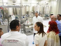 La nueva planta, ubicada en el Parque Bicentenario de San Francisco, Campeche, requirió una inversión superior a 130 millones de pesos. CORTESÍA