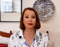 Laura Itzel Castillo destacó la relevancia del Acuerdo Global Modernizado y del Acuerdo Comercial Provisional con la Unión Europea. X / @LauraI_Castillo