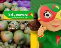 El Tianguis de Frutas y Verduras de Bodega Aurrera permite que las ofertas semanales duren por varios días. EL INFORMADOR / ARCHIVO / ESPECIAL / FACEBOOK Bodega Aurrrera