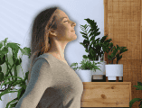 Un hogar que cuenta con la vegetación adecuada y bien distribuida puede experimentar una reducción real de la temperatura ambiental de hasta 2 a 4 grados centígrados. ESPECIAL / CANVA