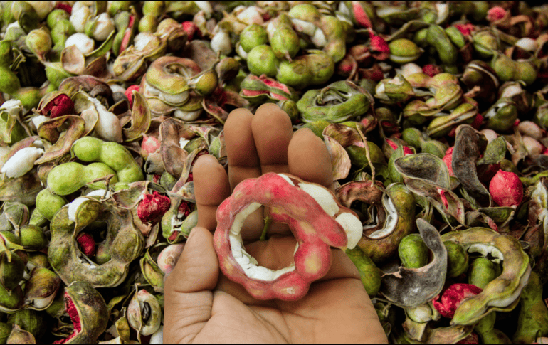 ¿Sabías que esa vaina rojiza que ves en los mercados de Jalisco es un superalimento? ESPECIAL / CANVA