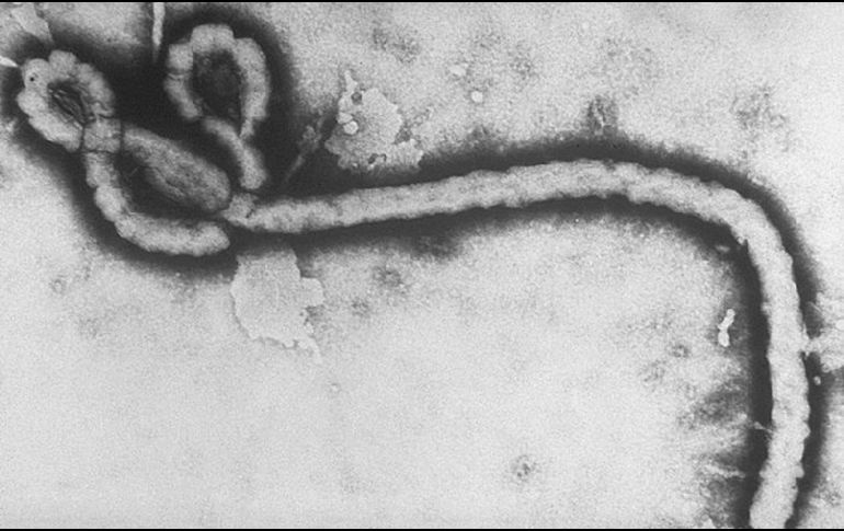 Aunque el riesgo de propagación del Ébola a otras regiones de América es bajo si se aplican los protocolos adecuados, la globalización actual exige que ninguna alerta sanitaria internacional sea ignorada. AP/ARCHIVO