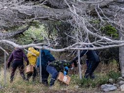 El virus hanta es endémico de Chile y es donde está presente la cepa Andes, capaz de transmitirse a través del contacto entre humanos. AP/ARCHIVO