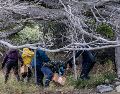 El virus hanta es endémico de Chile y es donde está presente la cepa Andes, capaz de transmitirse a través del contacto entre humanos. AP/ARCHIVO