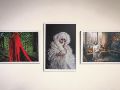 “WunderKammer: la cámara de las maravillas. Muestra mínima de fotografía en Jalisco (1980-2025)” reúne 100 imágenes. EL INFORMADOR/ J. Acosta