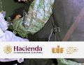 La OFAC designó a 14 sujetos presuntamente vinculados con dos redes criminales relacionadas con el Cártel del Pacífico. EFE / ARCHIVO