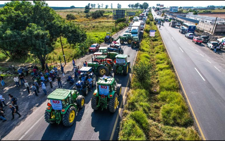 En los últimos ciclos agrícolas, organizaciones de productores han exigido precios de garantía más altos, subsidios para la comercialización del grano y mecanismos de apoyo frente a la volatilidad del mercado. EL INFORMADOR/ ARCHIVO