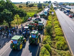 En los últimos ciclos agrícolas, organizaciones de productores han exigido precios de garantía más altos, subsidios para la comercialización del grano y mecanismos de apoyo frente a la volatilidad del mercado. EL INFORMADOR/ ARCHIVO