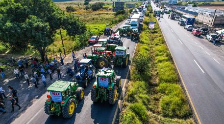 En los últimos ciclos agrícolas, organizaciones de productores han exigido precios de garantía más altos, subsidios para la comercialización del grano y mecanismos de apoyo frente a la volatilidad del mercado. EL INFORMADOR/ ARCHIVO