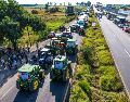 En los últimos ciclos agrícolas, organizaciones de productores han exigido precios de garantía más altos, subsidios para la comercialización del grano y mecanismos de apoyo frente a la volatilidad del mercado. EL INFORMADOR/ ARCHIVO