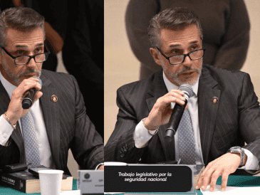 Como legislador federal, Sergio Mayer participaba en actividades relacionadas con la creación, revisión y votación de leyes dentro del Congreso mexicano. INSTAGRAM/@sergiomayerb