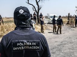 El colectivo de búsqueda encontró al menos 17 puntos con posibles restos humanos en una zona rural. EL INFORMADOR/ARCHIVO