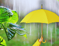 Las precipitaciones más intensas y peligrosas castigarán principalmente al sureste del país durante esta jornada de lunes. ESPECIAL / CANVA