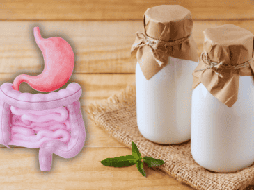 Al tomar esta bebida todos los días, estás introduciendo millones de probióticos vivos que colonizan y fortalecen directamente tu microbiota intestinal. ESPECIAL / CANVA