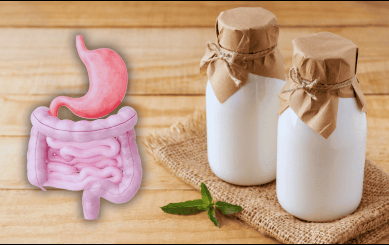 Al tomar esta bebida todos los días, estás introduciendo millones de probióticos vivos que colonizan y fortalecen directamente tu microbiota intestinal. ESPECIAL / CANVA