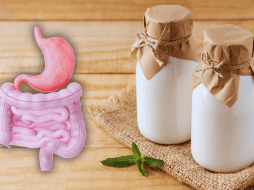 Al tomar esta bebida todos los días, estás introduciendo millones de probióticos vivos que colonizan y fortalecen directamente tu microbiota intestinal. ESPECIAL / CANVA