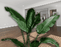 Estas plantas son ideales para departamentos pequeños donde se busca una solución práctica y ecológica. ESPECIAL