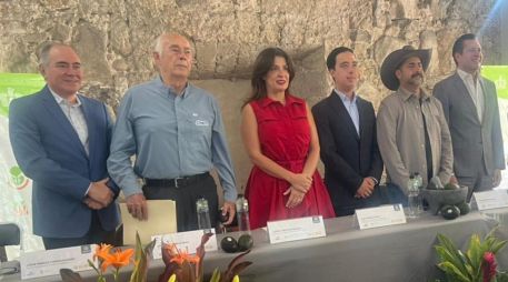 Productores y autoridades impulsan una estrategia para posicionar el aguacate de Jalisco a nivel global. EL INFORMADOR/J. Velazco