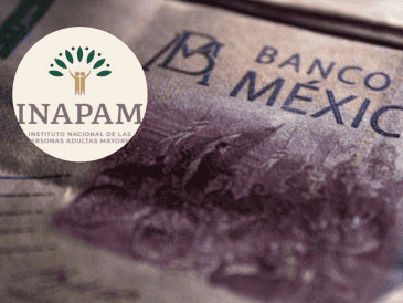 El principal requisito para participar es contar con la credencial vigente del INAPAM. ESPECIAL/Pexels